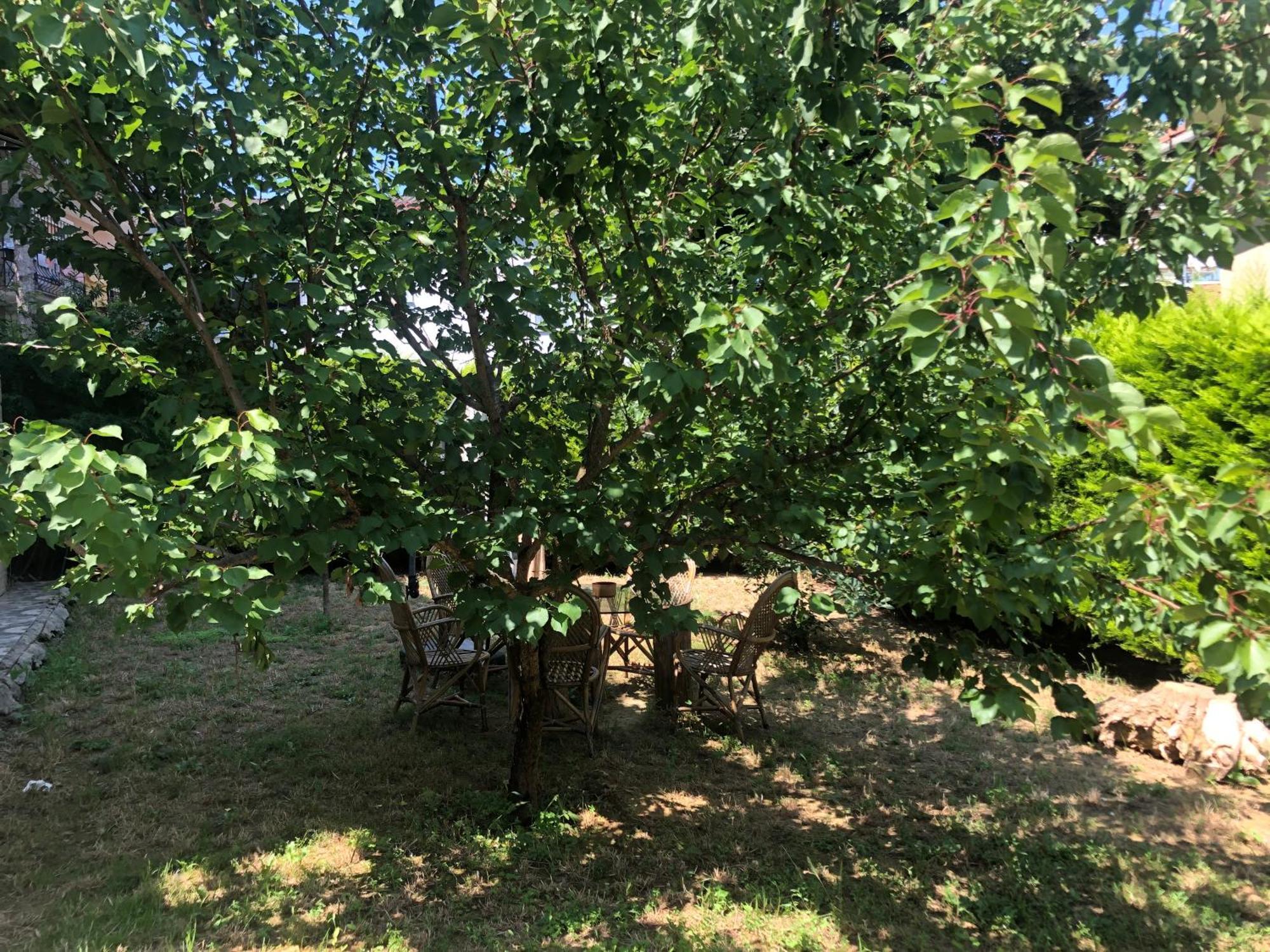 Garden House Daire İstanbul Dış mekan fotoğraf